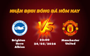 brighton hove albion manchester united 24 05 ngoai hang anh