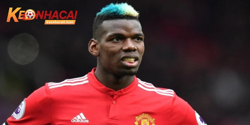Điểm nhấn của cầu thủ Paul Pogba trong sự nghiệp thi đấu